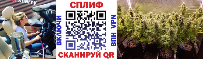blacksprut как войти  где продают   Зеленокумск  нарко площадка официальный сайт  Бошки марихуана индика 